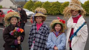 Pictures: South Kilkenny Historical Society celebrates Lá an Dreoilín