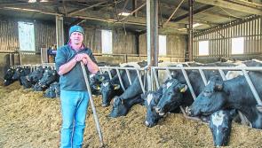 Kilkenny farmer says: ‘Give all land holdings an Eircode to help in emergencies'