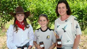 Pictures: Market and dancing days in sunny Dunnamaggin