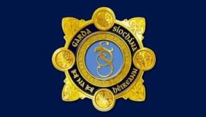 ALERT: Kilkenny gardaí issue appeal in search for missing local man 