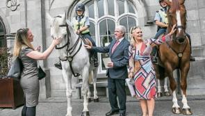 Enterprise judges bowled over at Kilkenny what city has to offer