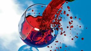 Irish wine drinkers love Spanish grapes  