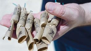 Gardaí  in Kilkenny warn public about use of fireworks in run up to Halloween