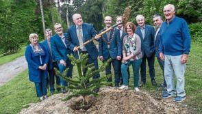 Woodstock windfall - Kilkenny beauty spot's  €337,553 boost