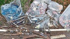 Kilkenny County Council launch their litter management plan for 2024 