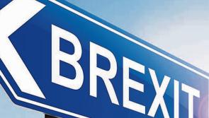 Revenue provides key Brexit advice for transport companies and their drivers