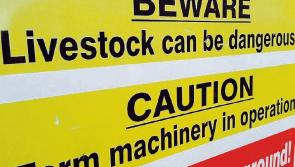 New incentives to invest in  safety equipment on Kilkenny farms