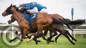 Recognisable Kilkenny influencer confirmed as special guest for raceday in Tramore