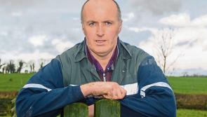 Nitrates proposals will hit farm incomes - ICMSA