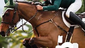Kilkenny show jumpers perform well in UK competition 