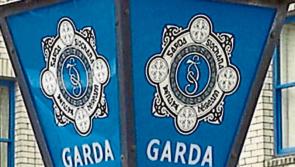 Appeal for witnesses of Kilkenny collision