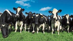 Outside influences are affecting Kilkenny farming 