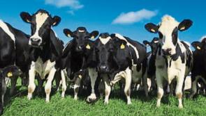 Young farmers will deliver emissions reduction not farmer bashing. 
