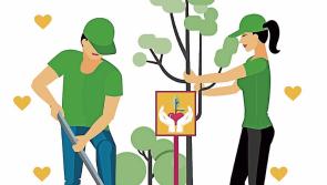 NOTE: Volunteering opportunities available in Kilkenny 