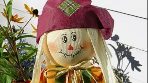 COMING SOON: Popular festival on Kilkenny border returns!