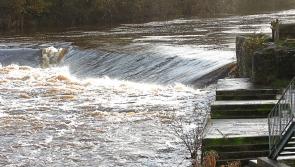 Funding available to Kilkenny schemes for fisheries conservation