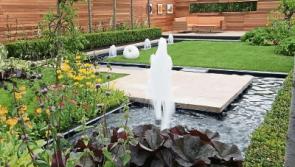 Gardening with Jo: My favourite Bloom gardens