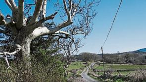 Funding announced for Local Improvement Schemes in Kilkenny