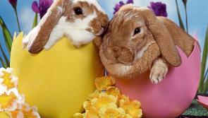 Children's Easter activities in Kilkenny
