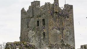 Kilkenny County Council awards funding to Ballyragget Heritage Festival 