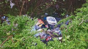 Dumping is a persistent problem in North Kilkenny 