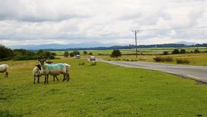 Sean Keane: The changing language and dialects in  Kilkenny