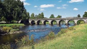 Poachers in Kilkenny 'launder' salmon and burn down house