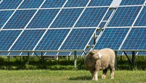 Can solar farms provide a bright future for Kilkenny farmers?