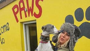 Meagre grants not good enough! Funding issues at PAWS animal rescue raised in Dail
