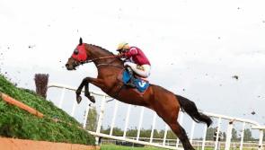 Brace of Group One successes keeps O'Brien in winning mood