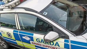 Armed response unit called to violent disturbance at Wetlands 