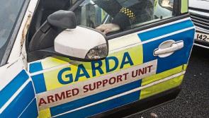 UPDATE: Gardai arrest 41 people in Thomastown area today