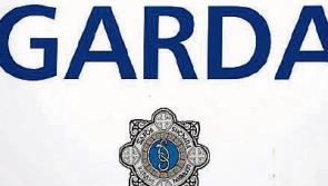 Gardai investigate sexual assault on teenage girl in Bagenalstown