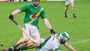 Tenacious 'Shock bounce back up to senior