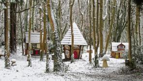 Castlecomer Discovery Park lights up hand crafted Elf Village