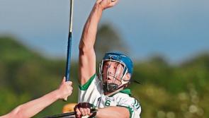 Experienced Oulart will test the Gaels