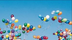 Family Fun Day - Graigue-Ballycallan GAA Club & St Brigid’s Camogie Club 