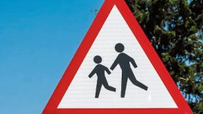 Car accident near Kilkenny school left young students in 'huge distress'