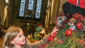 Magical forest will open at Christmas Tree Festival in Kilkenny