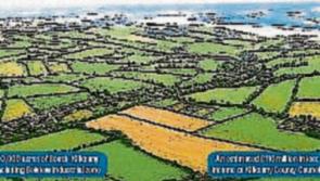 Kilkenny TD John Paul Phelan threatens to leave FG party over Waterford boundary dispute