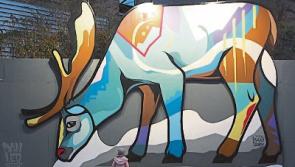 Stunning giant reindeer defies dark winter evenings in Kilkenny