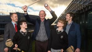 Leadership in Sport. Lessons for Business' – Networking Event launched with top sports and business people Set to share insights for success