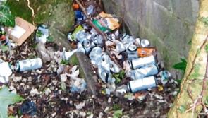 Kilkenny groups allocated over €11,000 in funding to combat littering
