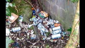 Kilkenny road to receive a major clean up 