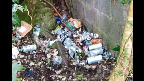 Councillor Joe Malone calls for litter wardens in Kilkenny