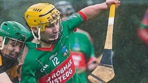 Happy New Year for young Cats in Walsh Cup