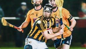 Young bloods show edge as they get Walsh Cup off to flying start