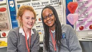 Six awards for Kilkenny schools at Young Scientist Exhibition