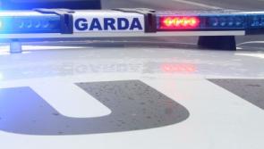 Child's Yamaha bike stolen from shed in Kilkenny garden