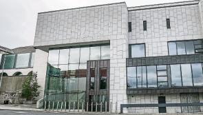 Kilkenny fraudster who promised jobs abroad jailed